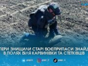 На полях Житомирського та Бердичівського районів знайшли та підірвали боєприпаси Другої світової