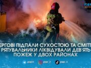 Вигоріло понад 4 гектари сухостою: на Житомирщині за добу сталося дев’ять пожеж на відкритих територіях