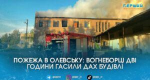 Масштабна пожежа в Олевську: вогнеборці дві години рятували сусідні споруди від палаючої «заброшки»