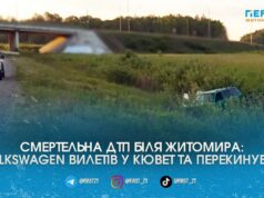 Смертельний кульбіт на трасі Київ-Чоп: під Житомиром Volkswagen вилетів у кювет, водій загинув на місці