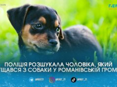Знущався з собаки на камеру: на Житомирщині розшукали шкуродера, відео з яким збурило мережу