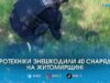 Місцеві жителі знайшли у лісі під Житомиром одразу 40 артилерійських снарядів