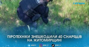 Місцеві жителі знайшли у лісі під Житомиром одразу 40 артилерійських снарядів