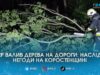 Негода на Житомирщині: шквальний вітер повалив дерева на траси, заблокувавши рух транспорту