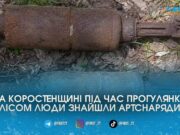 На Коростенщині в лісі виявили артснаряди часів Другої світової