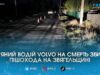П’яна аварія забрала життя: на Звягельщині водій Volvo на смерть збив пішохода