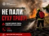 Недбалість жителів Житомирщини призвела до серії пожеж пожежі трави в Житомирській області