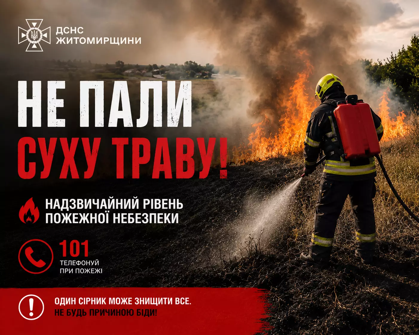 Серія пожеж на Житомирщині: ДСНС вказує на людський фактор та аномальну спеку