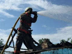 За крок від згарища врятували дім на Звягельщині пожежа в киянці