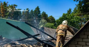Займання в Озерному вогонь знищив гараж із автомобілем горів гараж у житомирському районі