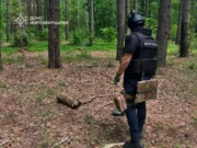 Замість ягід натрапили на снаряди на Коростенщині Робота саперів на місці ймовірного забруднення вибуховими предметами