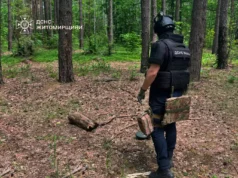 Замість ягід натрапили на снаряди на Коростенщині Робота саперів на місці ймовірного забруднення вибуховими предметами
