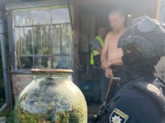 Що знайшли поліцейські на подвір’ях жителів Житомирщини канабіс житомирська область