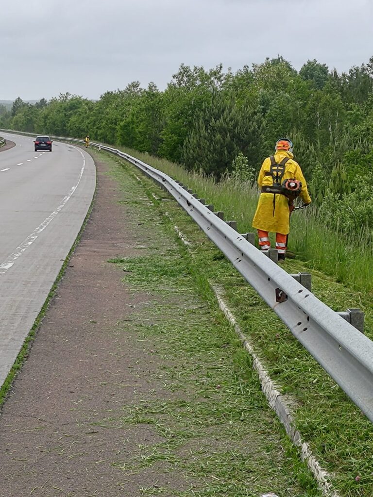 на узбіччях