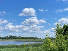 Брусилів першим впорядкував понад 1000 га лісів і водойм природа брусилова