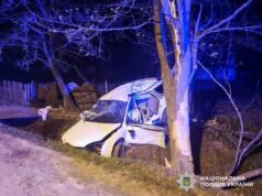 Вирок винесли водію за смертельну ДТП з дитиною в Наталії