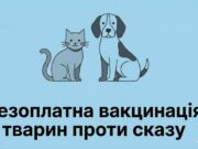 Безкоштовне щеплення для тваринок робитимуть відзавтра