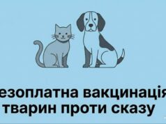 Безкоштовне щеплення для тваринок робитимуть відзавтра
