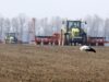 Посівна на Житомирщині фінішувала з рекордом посівна житомирщина