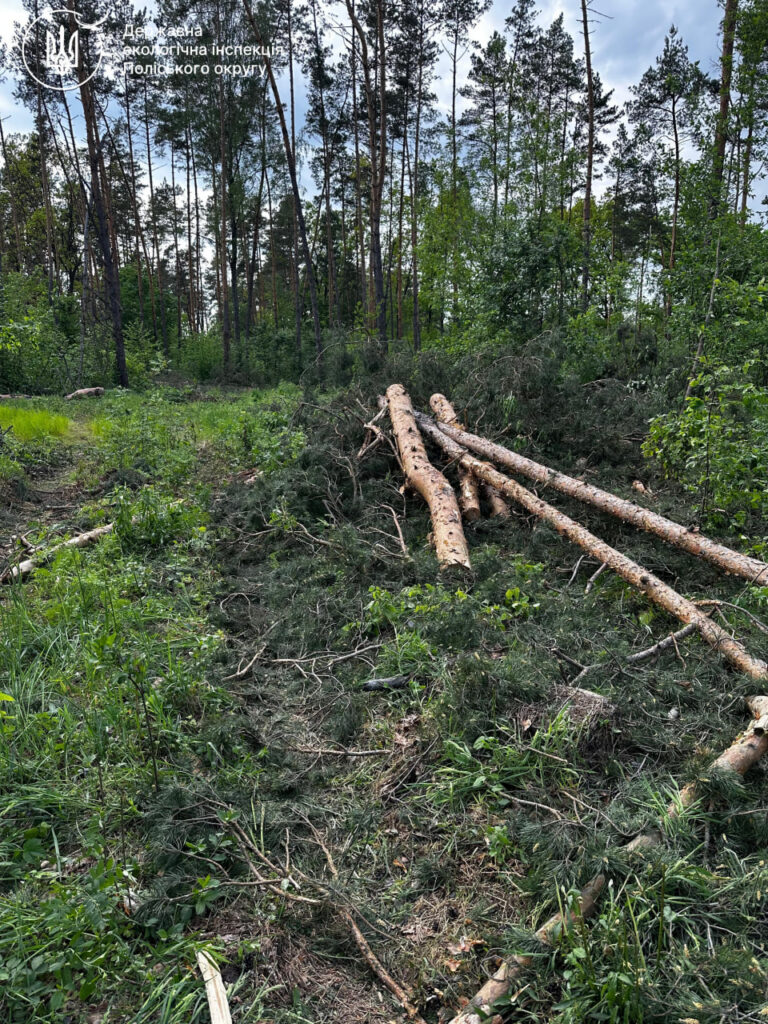 на гарячому