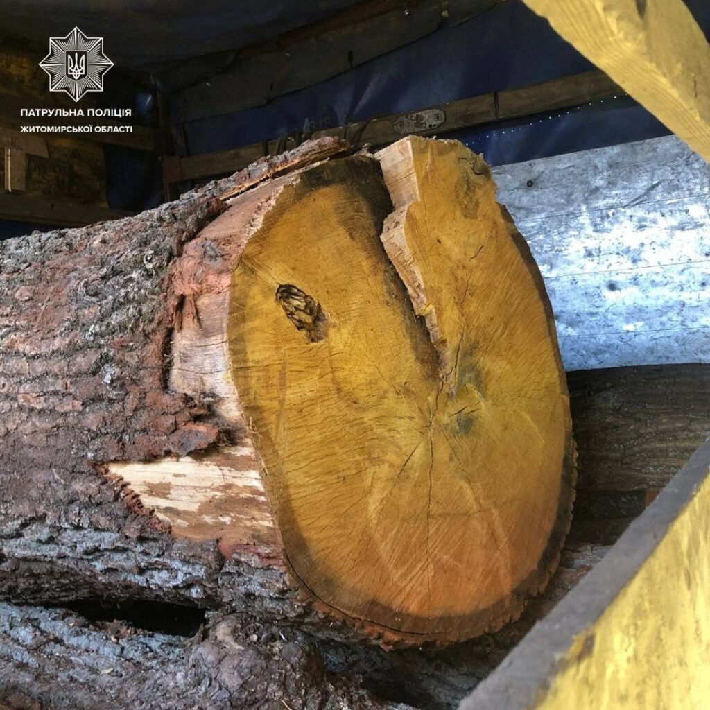 вантажівки