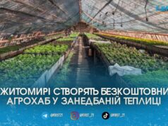 У Житомирі на базі занедбаної теплиці «Зеленбуду» створять інноваційний агрохаб для містян
