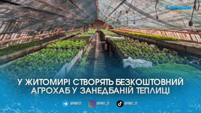 У Житомирі на базі занедбаної теплиці «Зеленбуду» створять інноваційний...