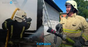 Дві масштабні пожежі на Житомирщині за вихідні, що знищив вогонь