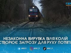 Загроза для руху потягів через масові вирубки лісосмуг уздовж колій на Житомирщині