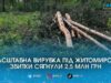 Мільйонні збитки та вантажівки з краденим лісом: під Житомиром на гарячому спіймали «чорних лісорубів»
