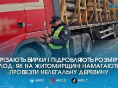 Махінації з бирками та «ліві» накладні: на дорогах Житомирщини поліція масово зупиняє вантажівки з нелегальним лісом