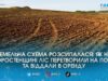 На Житомирщині у підприємця відібрали 10 гектарів незаконно переданих земель