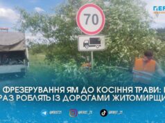 Ями, розмітка та хащі на узбіччях: як на Житомирщині «латають» державні траси