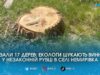 Залишили лише пні: на Коростенщині “чорні лісоруби” знищили тополі на 33 тисячі гривень