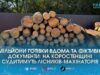 Посадовці «Лісів України» на Житомирщині торгували «лівою» деревиною навіть після звільнення