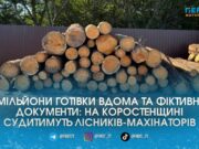 Посадовці «Лісів України» на Житомирщині торгували «лівою» деревиною навіть після звільнення