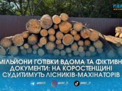 Посадовці «Лісів України» на Житомирщині торгували «лівою» деревиною навіть після звільнення