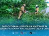 На Житомирщині рятувальники розчищали заблоковану трасу та територію лікарні від повалених буревієм дерев
