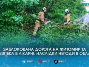 На Житомирщині рятувальники розчищали заблоковану трасу та територію лікарні від повалених буревієм дерев