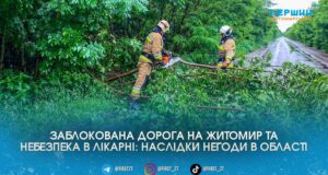 На Житомирщині рятувальники розчищали заблоковану трасу та територію лікарні від повалених буревієм дерев