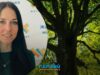 Питання зрізання дерев у Житомирі викликало дискусії влади