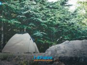 Відпочинок у лісі може обійтися вам у тисячі гривень штрафу