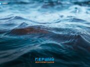 Примусове стягнення та суд для сільради на Коростенщині