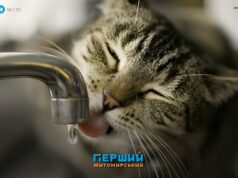 Вкотре один мікрорайон Житомира лишають без води
