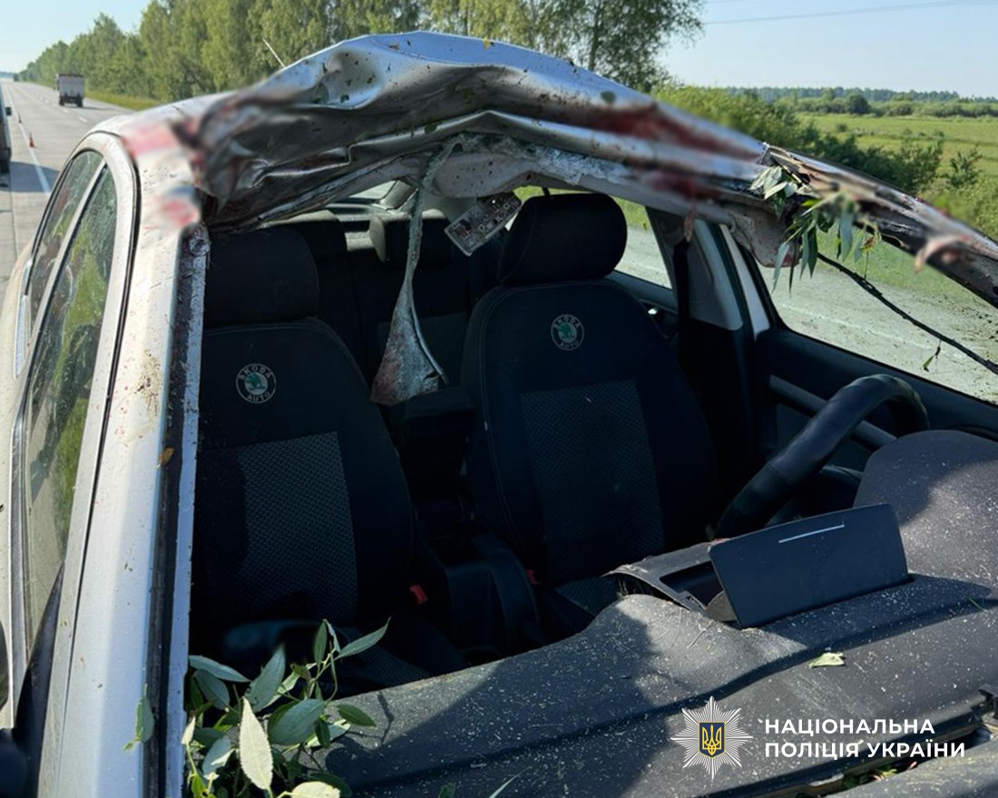 ДТП на Житомирщині розбите авто Skoda лось на дорозі