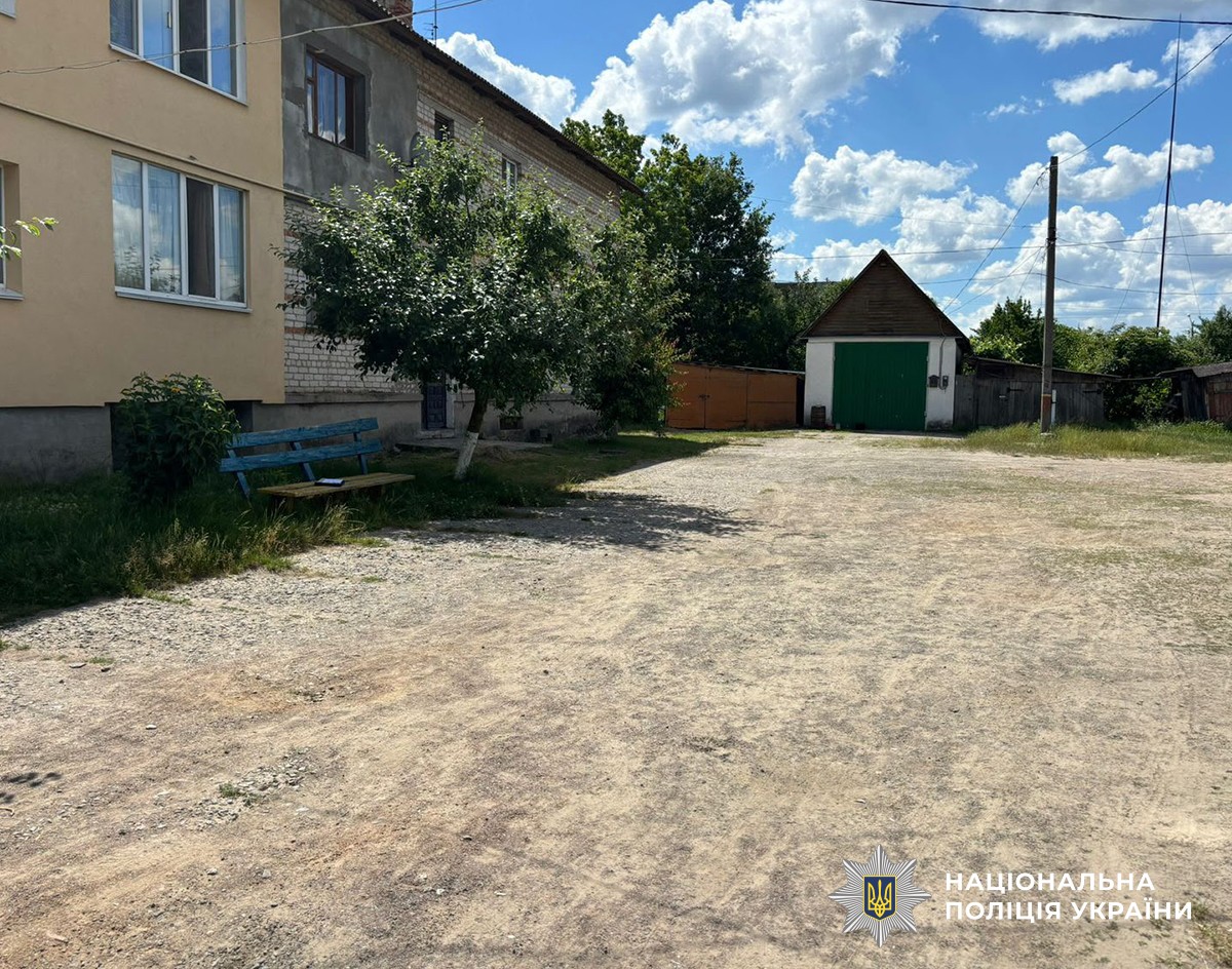 Місце ДТП у Ємільчиному