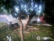 Чому автобус злетів з траси під Чудновом та опинився в дереві дтп біля Чуднова
