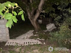 Дівчина-підліток стала жертвою нічної ДТП у Кодні: що сталось 16-річна дтп