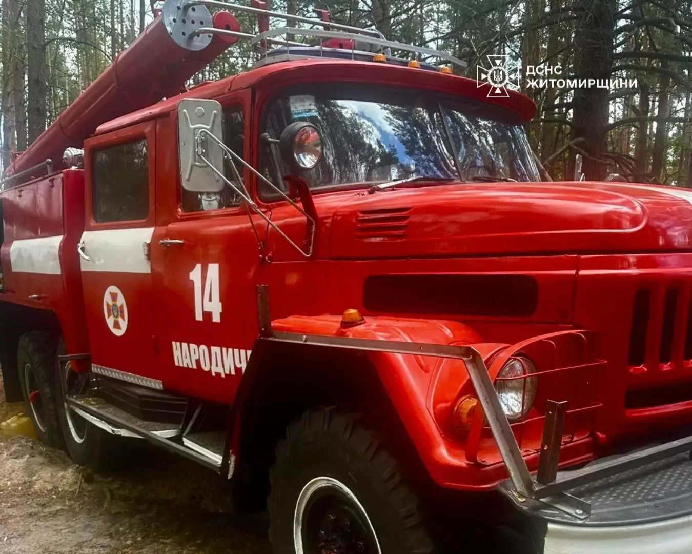 Рятувальники гасять лісову пожежу