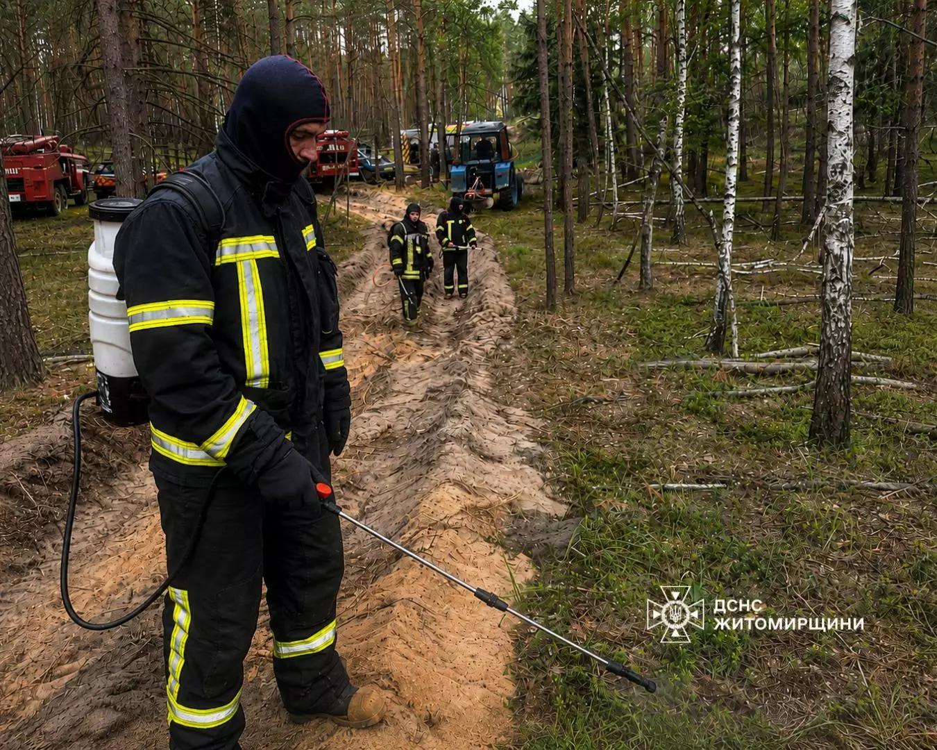 Ліквідація вогню ДСНС